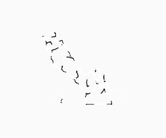 DELEGACIONES SAN QUINTIN